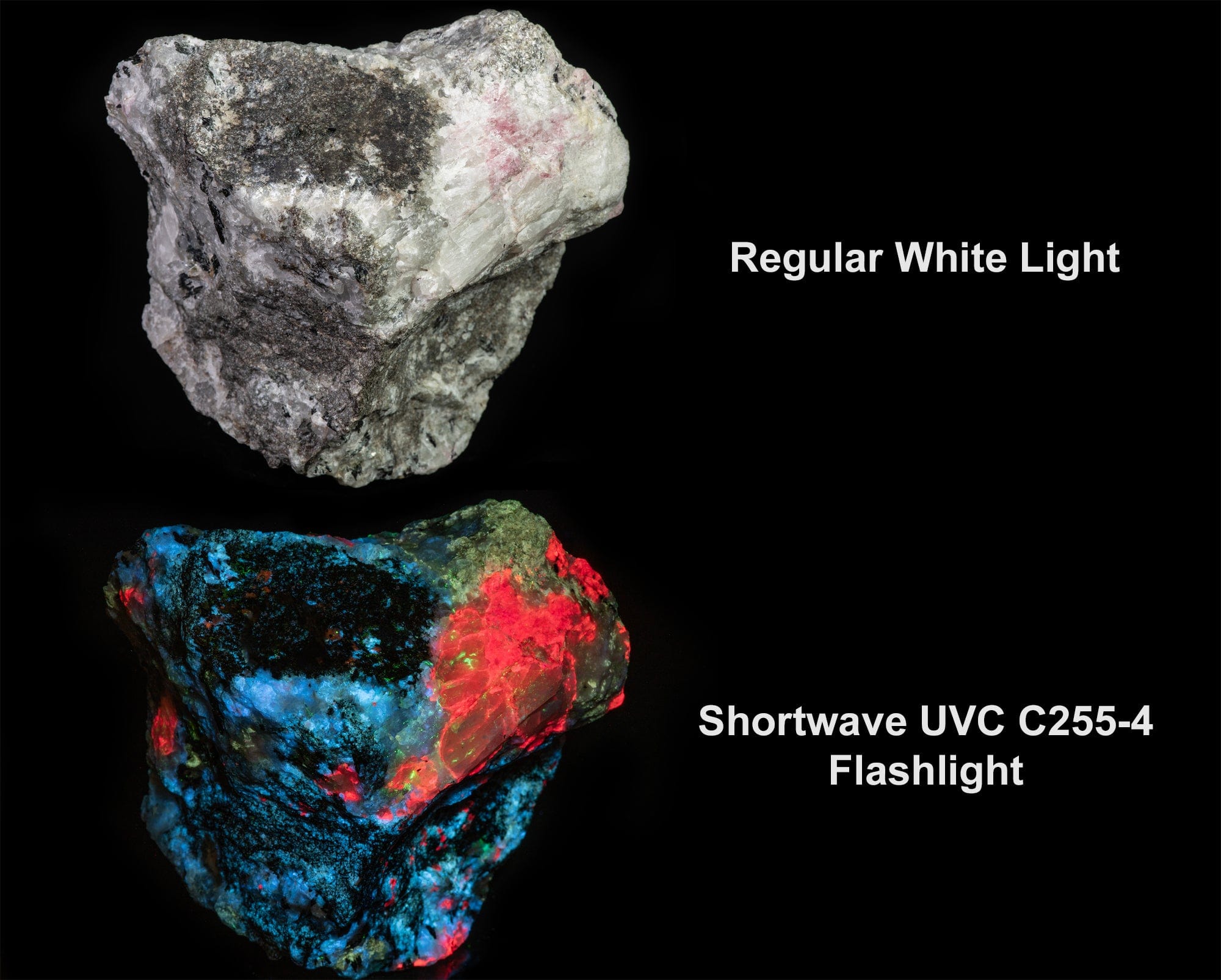 GloBox Mini Fluorescent Mineral Display Case