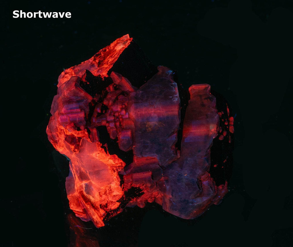 Reddish-brown chocolate calcite brightly fluorescing a red and purple under shortwave UV with excellent zoning