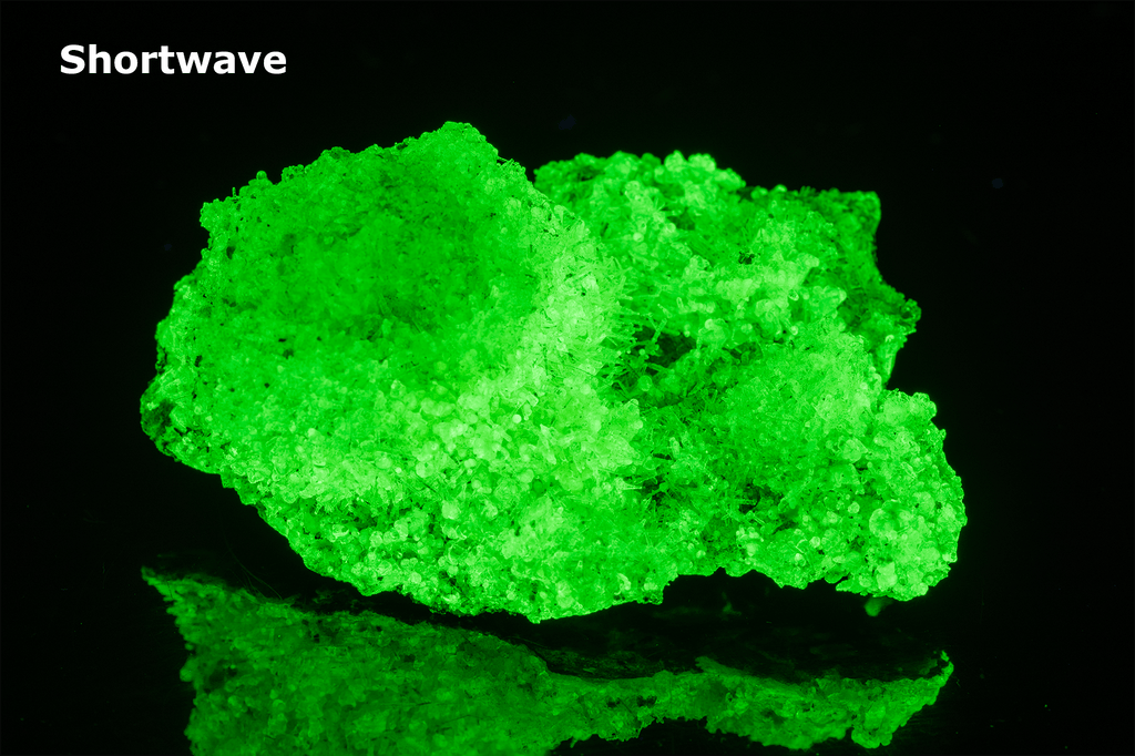 Bright green opal specimen. The hyalite opal shows a bright green fluorescent response under both shortwave and longwave UV.