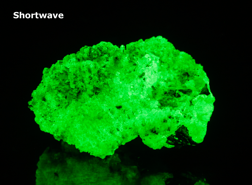 Bright green opal specimen. The hyalite opal shows a bright green fluorescent response under both shortwave and longwave UV.